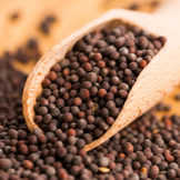 Graines de Moutarde pour Cuisiner