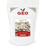 Bavicchi Graines Germées Bio "Haricot Mung"
