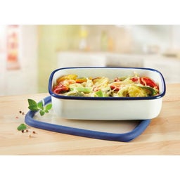 Contenitore Smaltato per Alimenti - Piatto - L