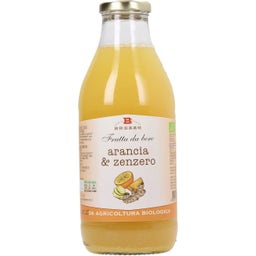 Brezzo Bio Narancslé gyömbérrel - 750 ml