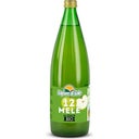 Bio Apfelsaft, 1 l