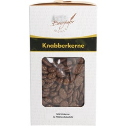 Berghofer Mühle Kürbiskerne Milchschokolade - 100 g